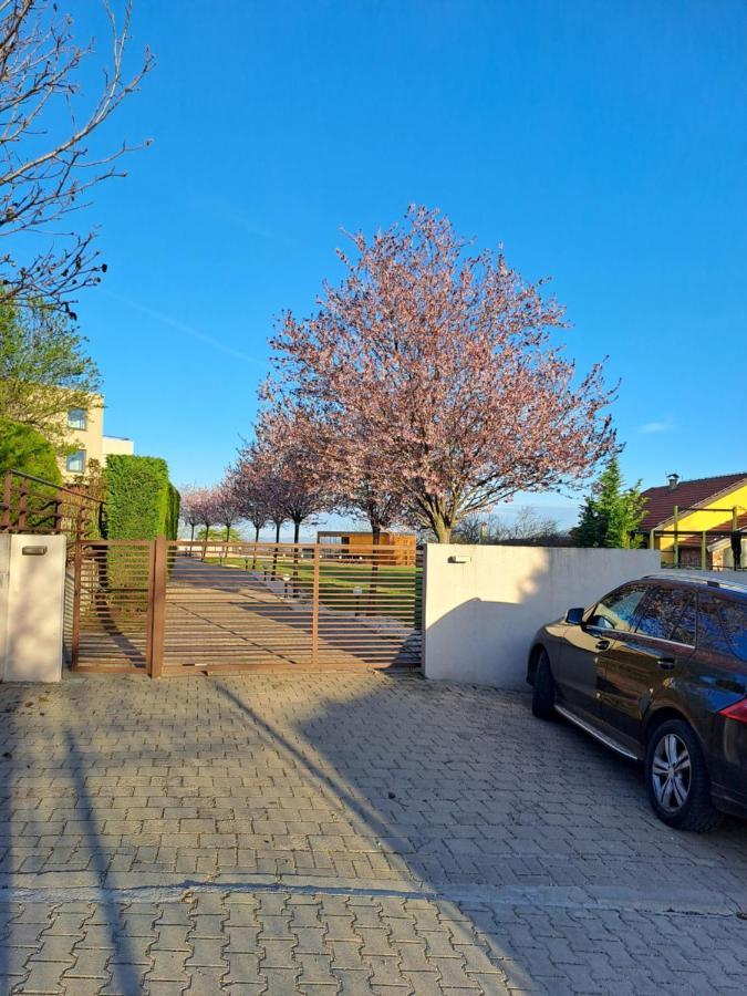 Villa Sunny Side Apartment Skopje Dolno Solnje Exterior photo